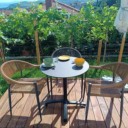 Apartma Terassa *