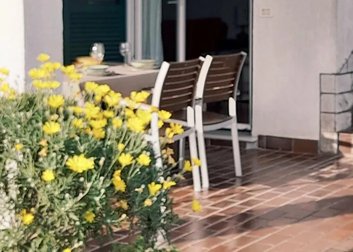 아파트 Apartma Terassa